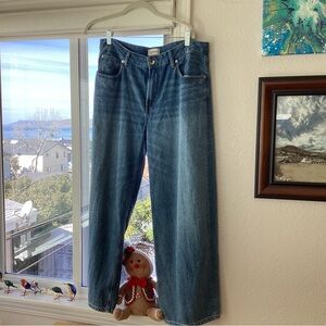 Everlane Loose Curve Jeans NWOT